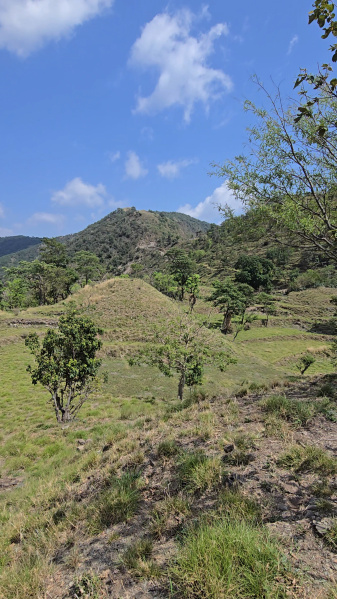 Additional image 3 of Itharna, Dehradun