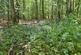 Redditch, Worcestershire B48 photo 3