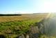 Additional image 21 of Balgair Wood (just under 36 acres), Olgrinmore, Scotscalder, Caithness KW12