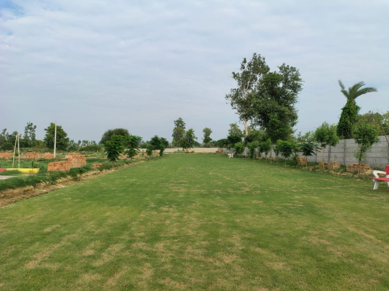 Sultanpur Road, Lucknow photo 2