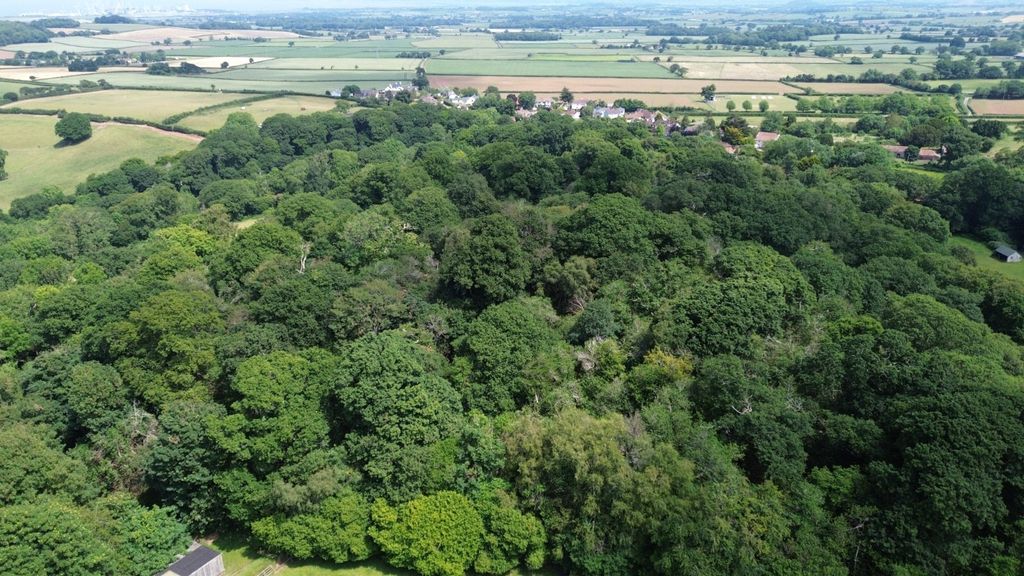 Additional image 16 of Land for saleHolford, Bridgwater, Somerset TA5