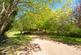 Blackbrooks, Sedlescombe, Battle, TN33 photo 5