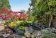 Additional image 17 of Ashford Road, Bearsted, Maidstone