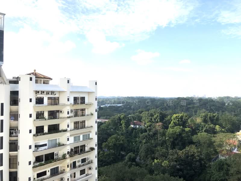 335 Bukit Timah Road photo 4
