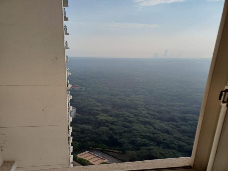 DLF Phase V, Gurgaon