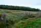 Additional image 7 of Balgair Wood (just under 36 acres), Olgrinmore, Scotscalder, Caithness KW12
