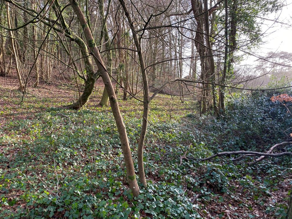 Additional image 3 of Land for saleEaglesbush Valley, Neath, Neath Port Talbot. SA11