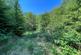 Additional image 8 of Coed Abergwynant Woodland, Penmaenpool, Dolgellau