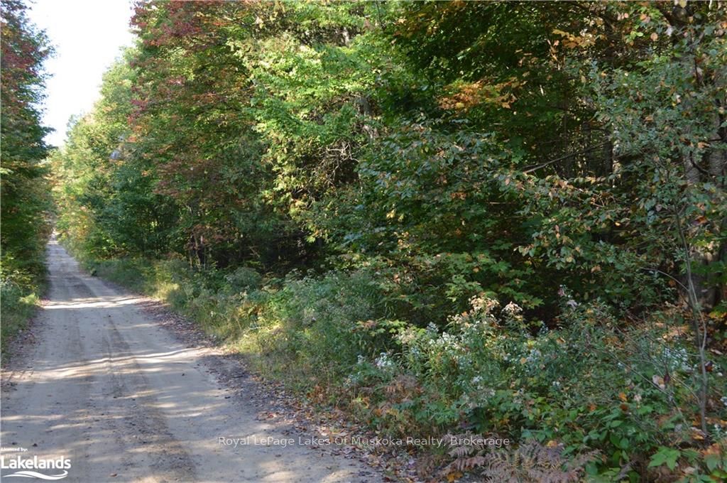 LOT 20 Concession 5 Road, Huntsville, ON, P1H 2J3