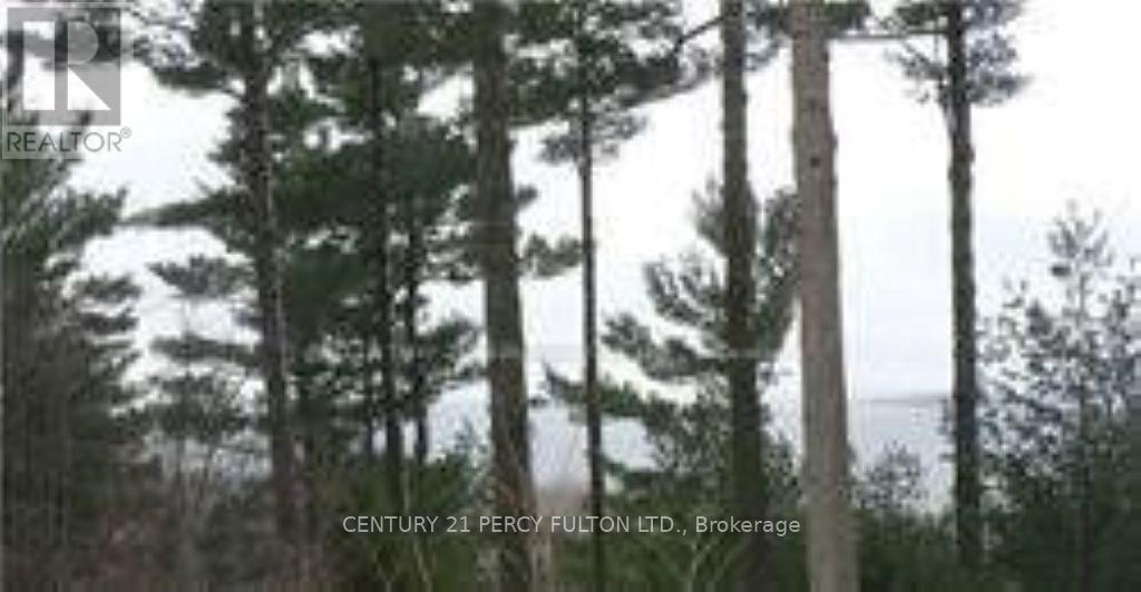130 Nippissing Ridge Road, Tiny, ON, L9M0H6 photo 3