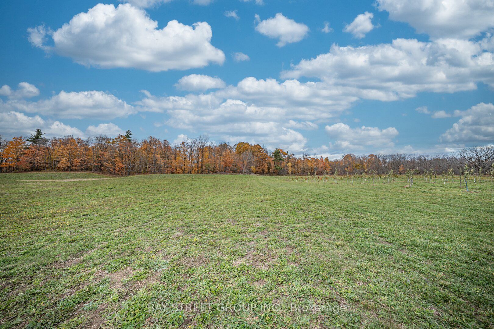 Additional image 3 of 5255 Philp Road, Lincoln, ON, L3J 2E8