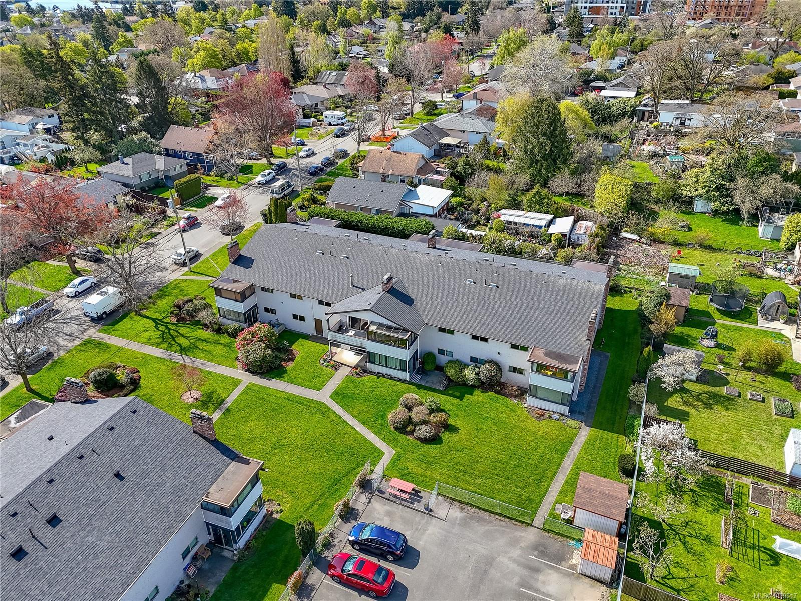 #205-3160 Irma Street, Victoria, BC, V9A 1S8 photo 4