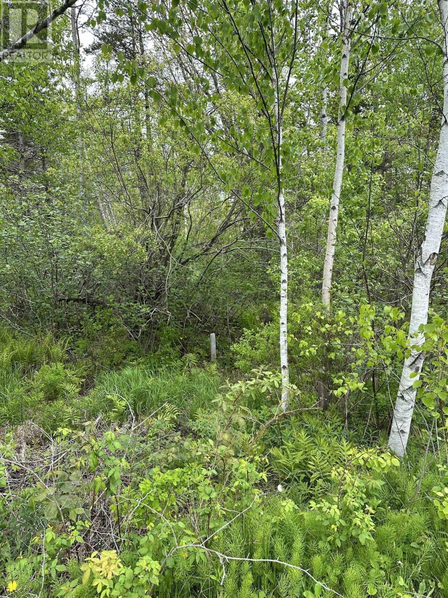 Additional image 4 of LOT-11 Cambridge Lane|cambridge Cove, Cambridge, NS, B0N2R0