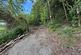Redbrook Wood, Monmouth, Gwent, NP25 4LU