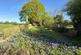 Additional image 43 of Hurdon Farm, Launceston, Cornwall, PL15