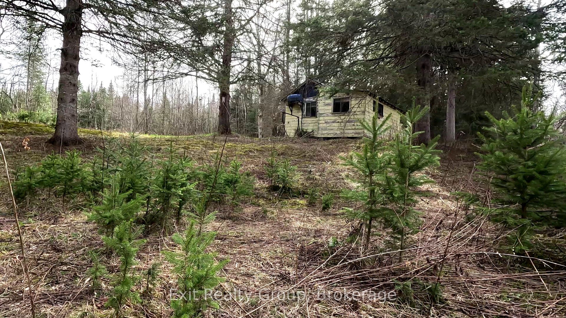 3606 County Road 620 N/a, North Kawartha, ON, K0L 1A0