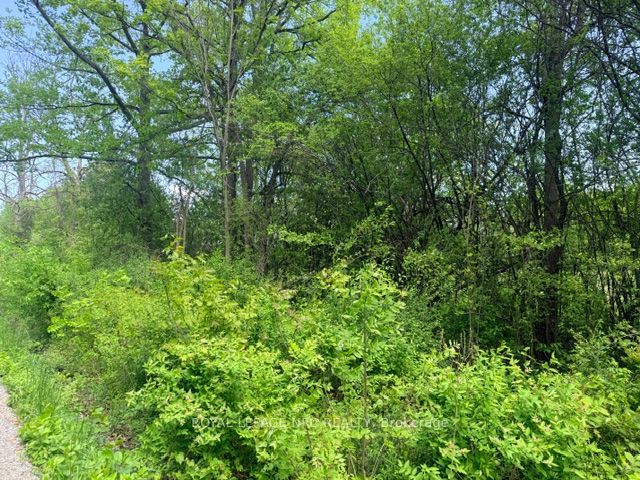 Additional image 2 of V/L Centralia Avenue N, Fort Erie, ON, L0S 1N0