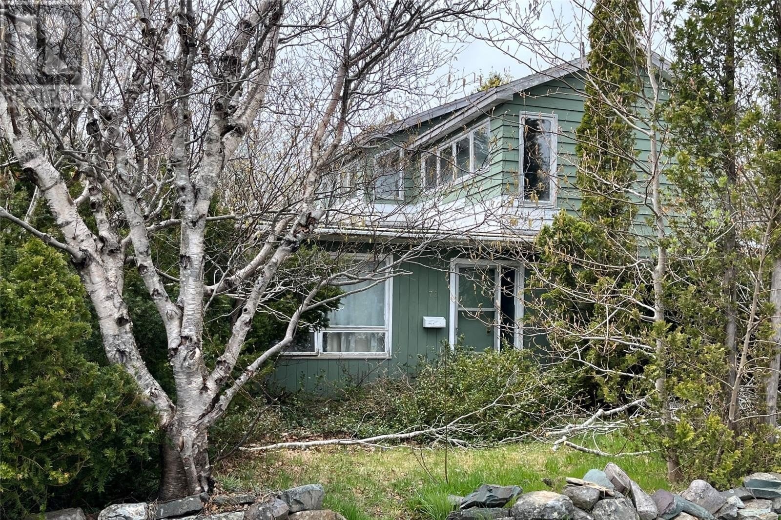 72 Fox Avenue, St. John's, NL, A1B2J2 photo 5