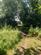 Additional image 7 of Tanhouse Farm Mooring, Frampton on Severn, Gloucester, Gloucestershire, GL2