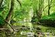 Wonastow Mill, Mitchel Troy, Monmouth photo 5