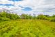 Additional image 14 of Cow Ark, Clitheroe, BB7