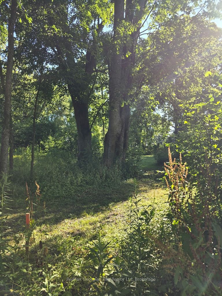 72 Coldwater Road, Severn, ON, L0K 1E0 photo 3