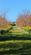 Additional image 16 of The Old St. Nicholas Manse, Holm, Orkney, Orkney Islands, KW17