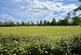 Additional image 26 of Hollow Way, Wiltshire SN15