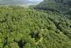 Additional image 9 of Coed Abergwynant Woodland, Penmaenpool, Dolgellau
