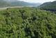 Additional image 7 of Coed Abergwynant Woodland, Penmaenpool, Dolgellau