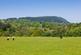 Additional image 17 of Withgill Fold, Withgill, Clitheroe, BB7