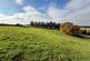 Additional image 47 of Blaenpennal, Aberystwyth, SY23