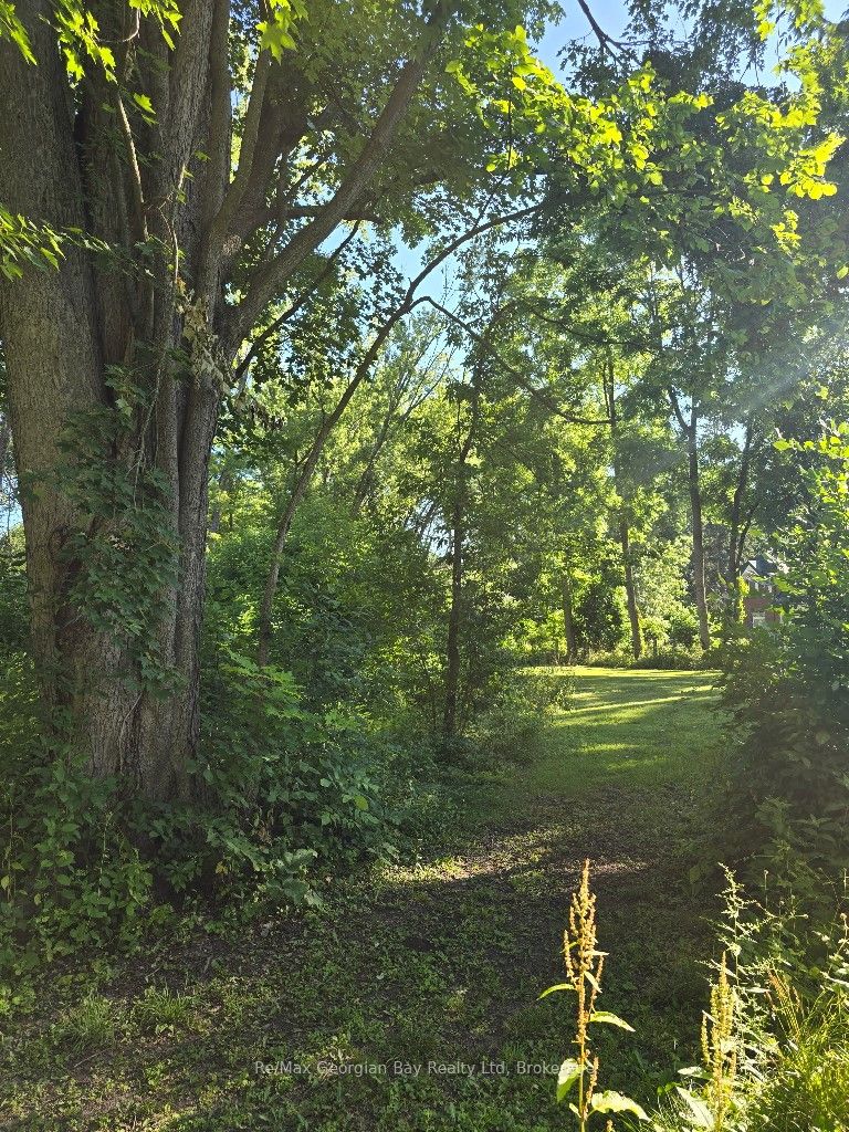 72 Coldwater Road, Severn, ON, L0K 1E0 photo 4