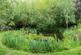 Additional image 66 of Calveley Green Lane, Calveley
