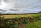 Additional image 34 of Llandeloy, Haverfordwest, SA62