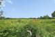 Additional image 3 of Bishopstoke, Eastleigh SO50