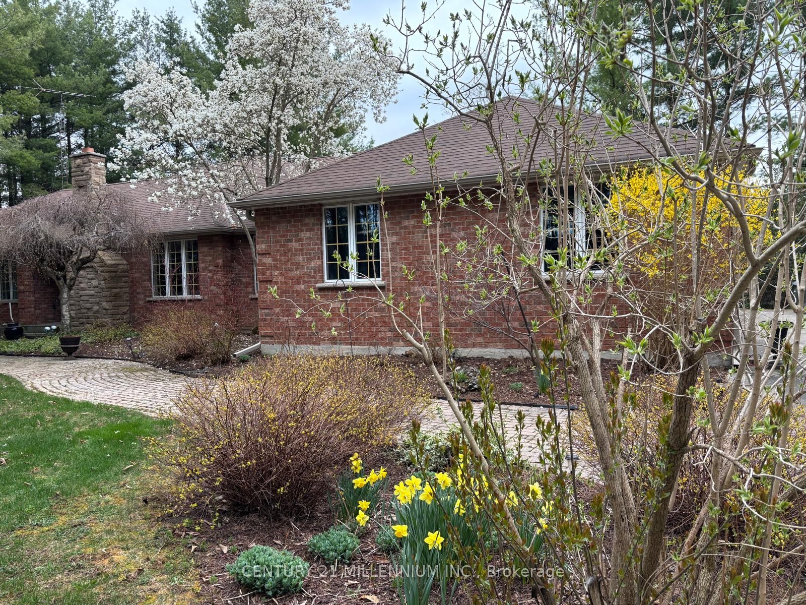 41 Pine Ridge Road, Erin, ON, N0B 1T0 photo 5