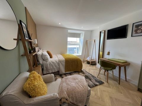 Mount Gould Road, Plymouth PL4, Studio to rent