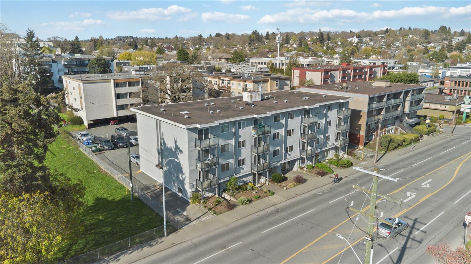 #302-904 Hillside Avenue, Victoria, BC, V8T 1Z8 photo 3