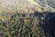 Callington, Cornwall PL14 Bicton Wood West, 94.67 acres (38.31 Ha) photo 5