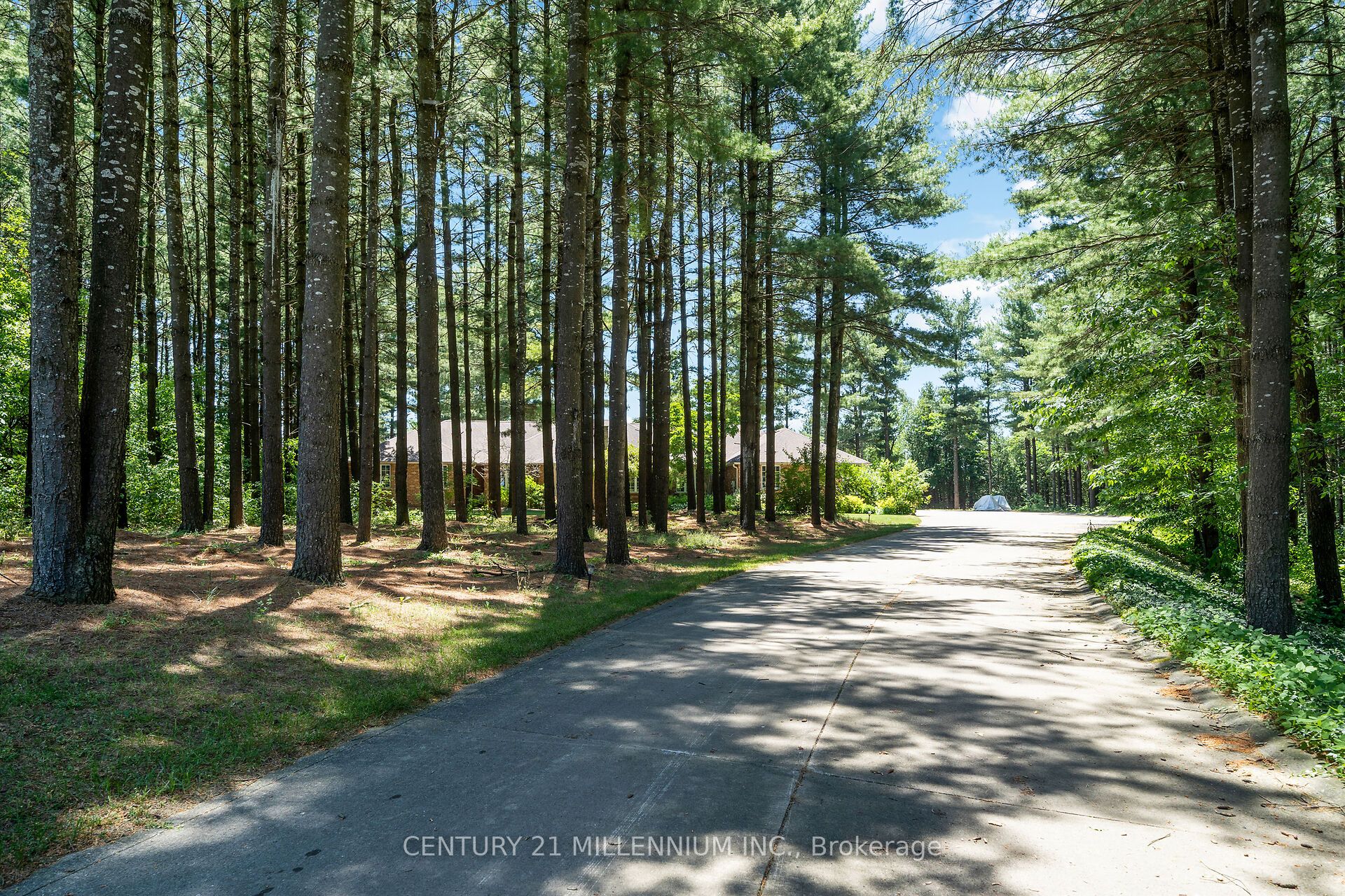 41 Pine Ridge Road, Erin, ON, N0B 1T0 photo 3