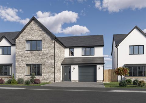 The Carew, The Willows, Olchfa, Sketty, Swansea SA2, New home