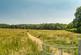 Edmondsham Road, Verwood photo 2