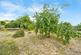 Additional image 20 of Hempton Lane, Almondsbury, Bristol