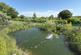 Additional image 62 of Llanfihangel Ar Arth, Nr Llandysul , Carmarthenshire, SA39