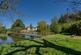 Morley St. Botolph, Wymondham photo 4