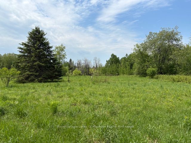 351 Ravenscliffe Road, Huntsville, ON, P1H 1L6