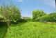 Phoenix Road, Ridgeway, Sheffield, Derbyshire, S12 photo 4