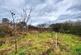 Additional image 45 of Llandeloy, Haverfordwest, SA62