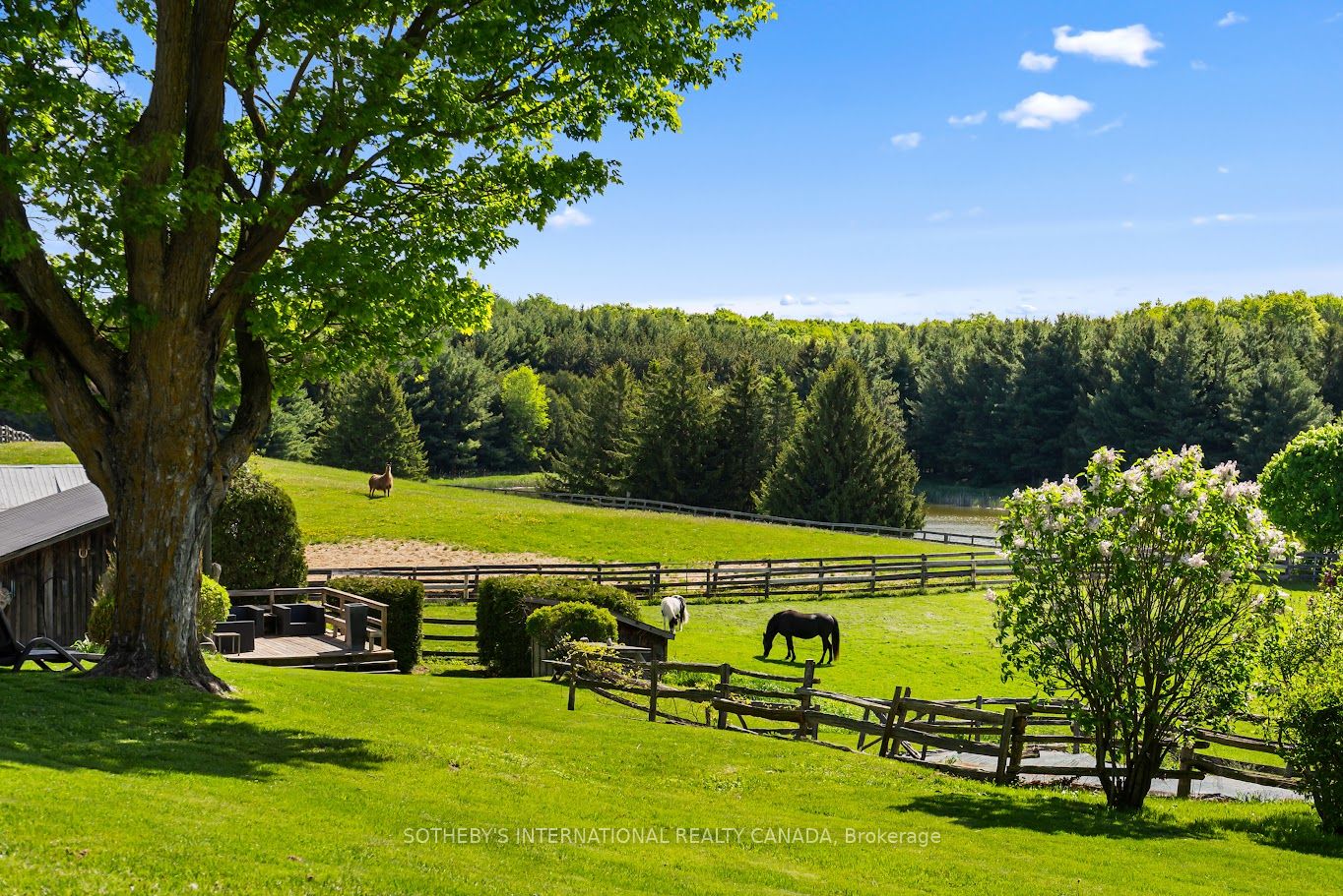 18101 Shaws Creek Road, Caledon, ON, L7K 0E8 photo 3